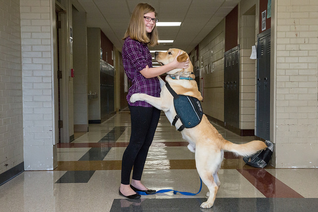 Meet Becky the Student and Levi the Service Dog - Des Moines Public Schools